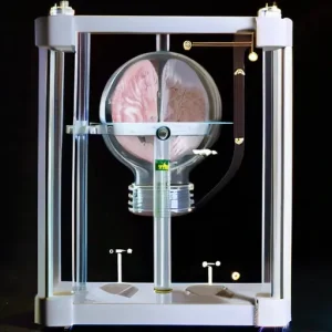 Почему наука опирается на наблюдение и измерение
