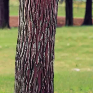 Как замечать и уважать собственные границы