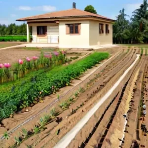 Покупка участка на материнском капитале: законодательные нюансы и обязательства по выделению долей